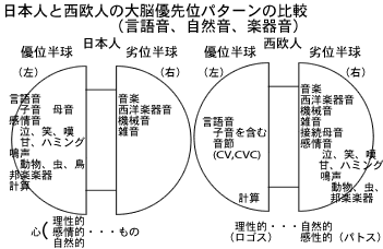 日本人と西欧人の大脳優先位パターンの比較